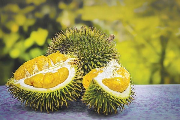 Le durian vietnamien a un autre concurrent sérieux ; Le Royaume-Uni augmente ses achats de noix de cajou grâce à l'UKVFTA