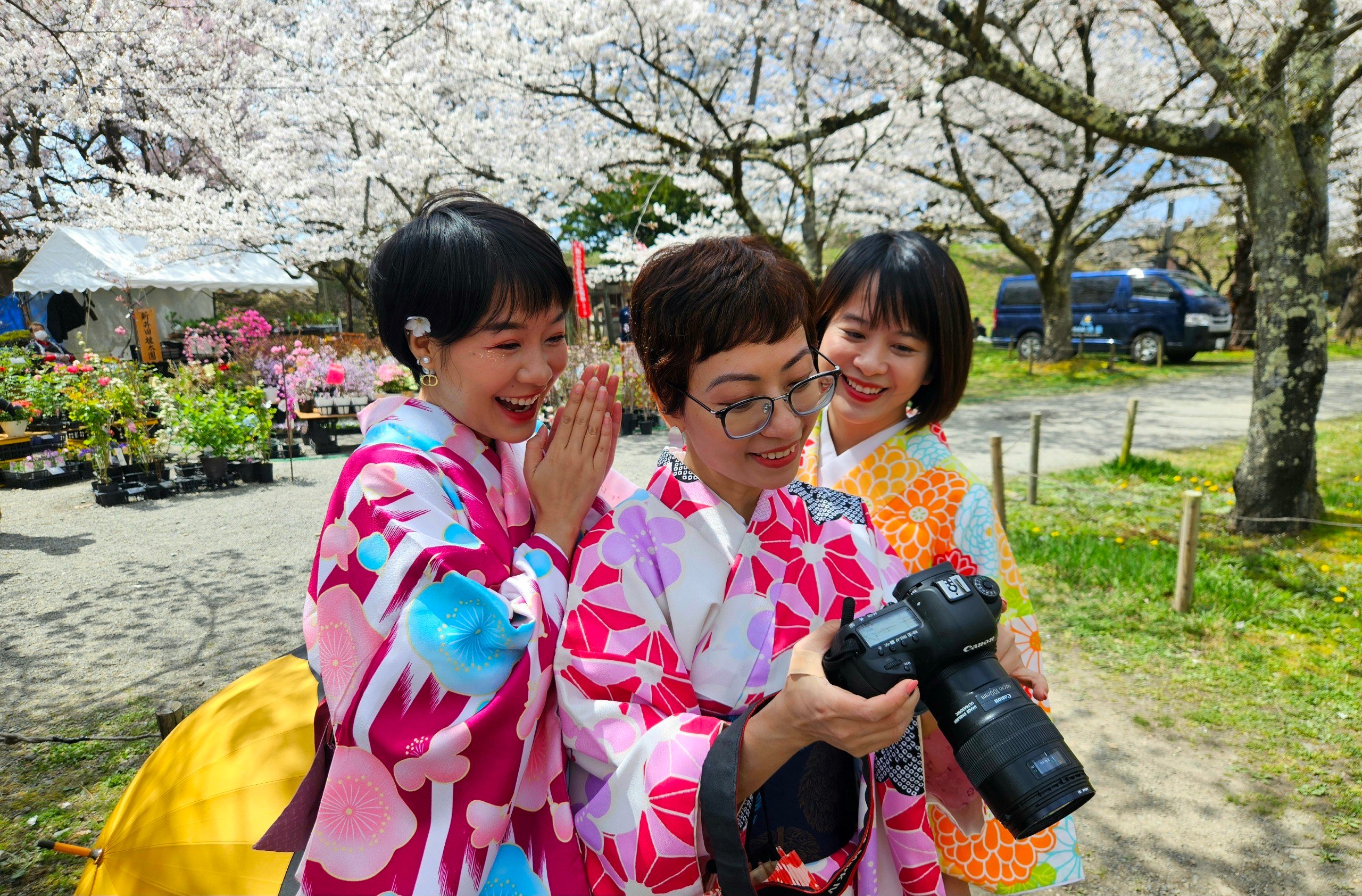 Khách Việt trải nghiệm mặc kimono, ngắm hoa anh đào ở Nhật Bản- Ảnh 3.