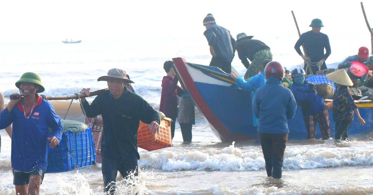 ハティン漁師は海の魚を大量に捕獲して大儲けした