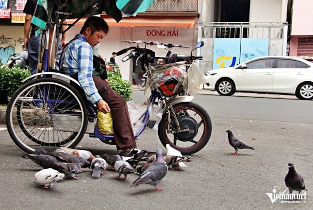 Lottoscheinverkäufer in Ho-Chi-Minh-Stadt kauft Futter, um Wildvögel zu „verwöhnen“ und ihnen so die Einsamkeit zu nehmen. Foto 3