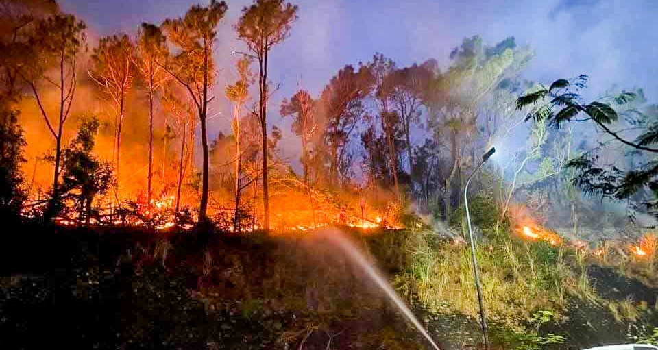 Quickly handle forest fire in Do Son