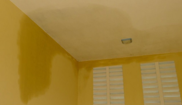 Những vị trí nào trong nhà dễ bị thấm dột nhất - Ảnh 1.