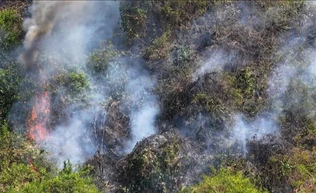 Tay Ninh: Brandbekämpfung im Ba Den-Berggebiet