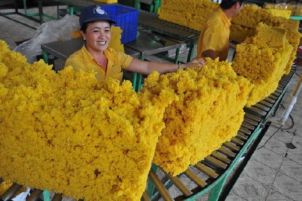 Triển vọng khả quan cho ngành cao su Việt Nam