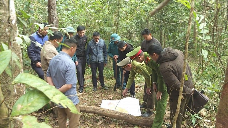 Để những cánh rừng nơi biên giới thêm xanh