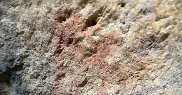 Überraschung nach der Entschlüsselung des Genoms von 2 Menschen, die vor 10.000 Jahren lebten