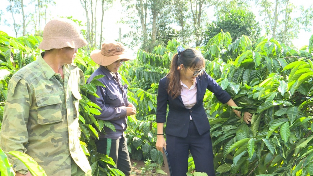 Tính nhân văn của các chương trình tín dụng chính sách tại Gia Lai