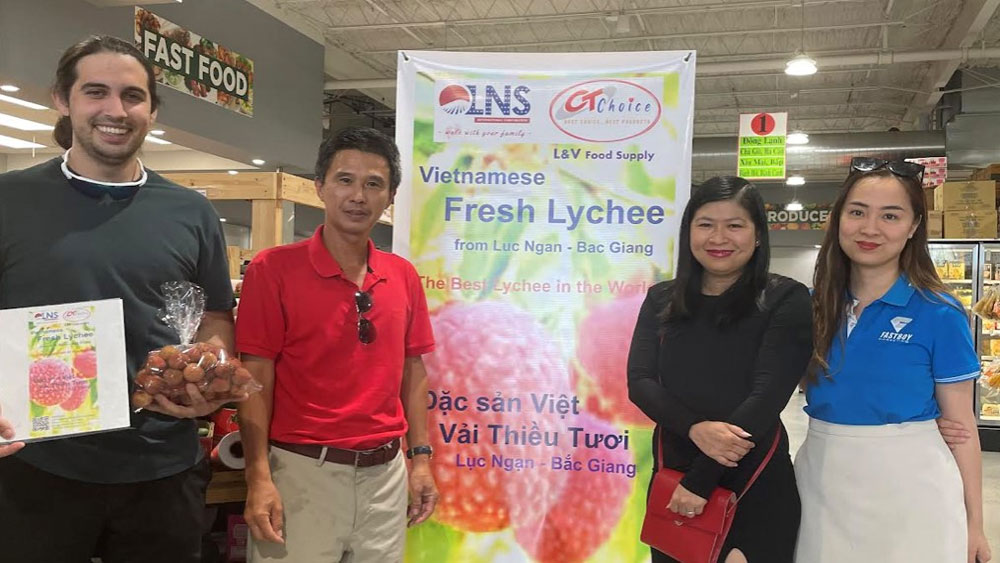 The first batch of fresh lychees from Bac Giang in the 2023 crop has arrived in Houston (USA) |=> Posted in Bac Giang newspaper