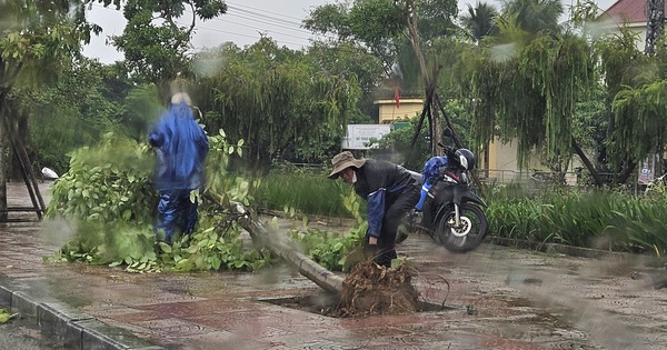 Bão số 4 chưa vào nhưng gió mạnh dần, cây bật gốc, đường biên giới ngập sâu