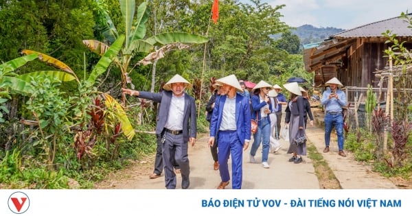 Die Hotelbranche in Da Nang unterstützt die Bauern von Co Tu beim Konsum landwirtschaftlicher Produkte