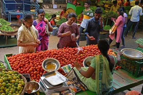 インドでトマトの価格が急騰