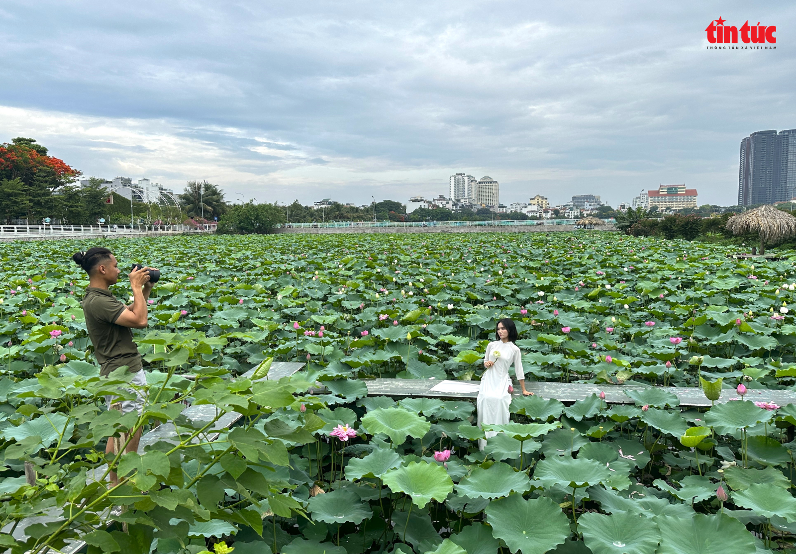 Chú thích ảnh