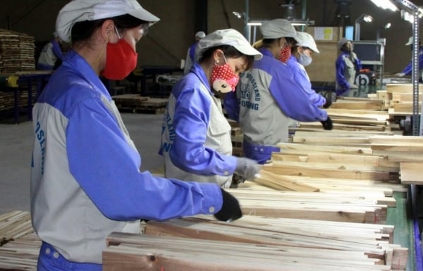 Les entreprises du bois créent un « paquet de baguettes » pour répondre à la défense