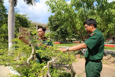 Binh Dinh Provincial Military Command: Green space in the middle of white sand