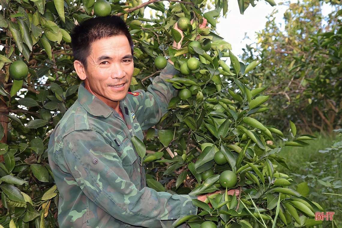 Farmer Vu Quang digs pond to store water to prevent drought for oranges