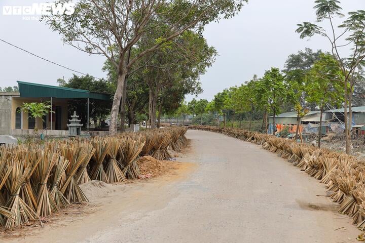 The 100-year-old incense village in Hanoi is bustling during Tet - 3