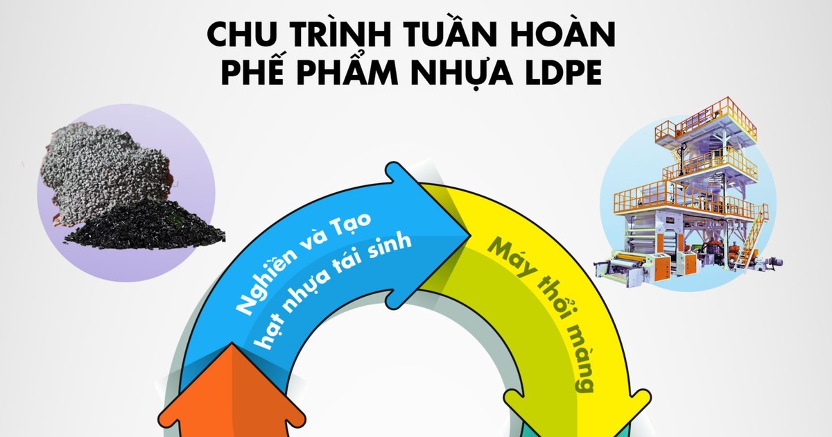 Từ mô hình 3R đến mong muốn giảm lượng rác thải nhựa toàn cầu