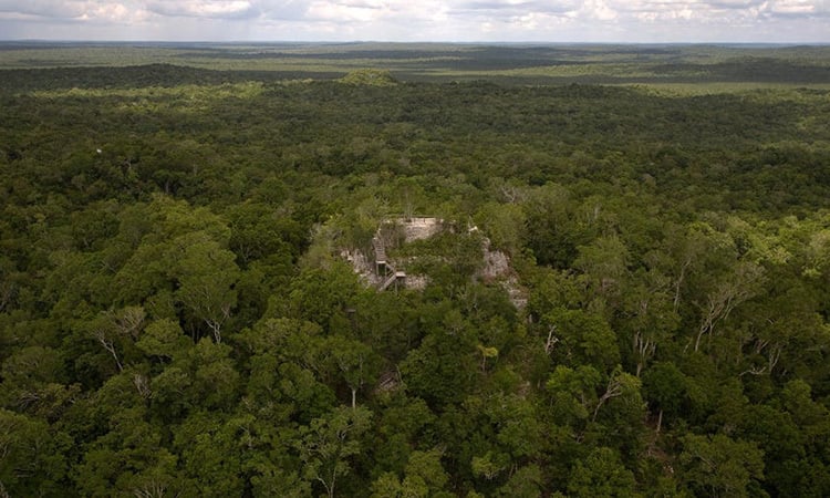 Un réseau routier vieux de 3 000 ans caché dans la forêt