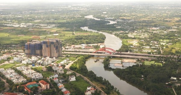 Binh Chanh plans to plant lotus on Nguyen Van Linh street