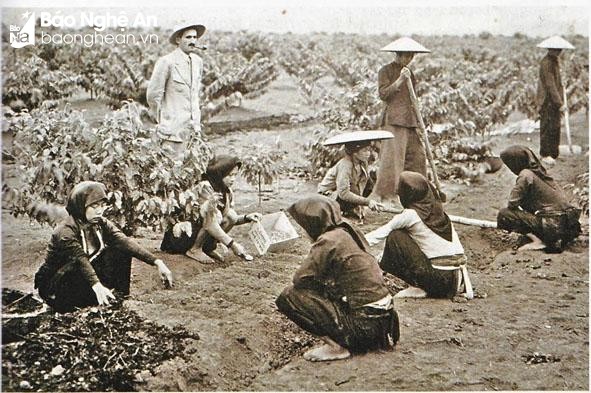 Old marks on the young urban area of ​​Thai Hoa photo 1