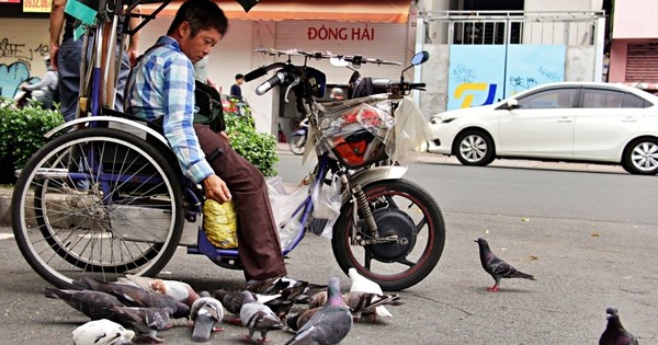 ホーチミン市の宝くじ販売員が野鳥の孤独を和らげるために餌を購入し「ご褒美」