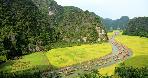 Tens of thousands of people come to Ninh Binh to see the giant "shepherd" painting