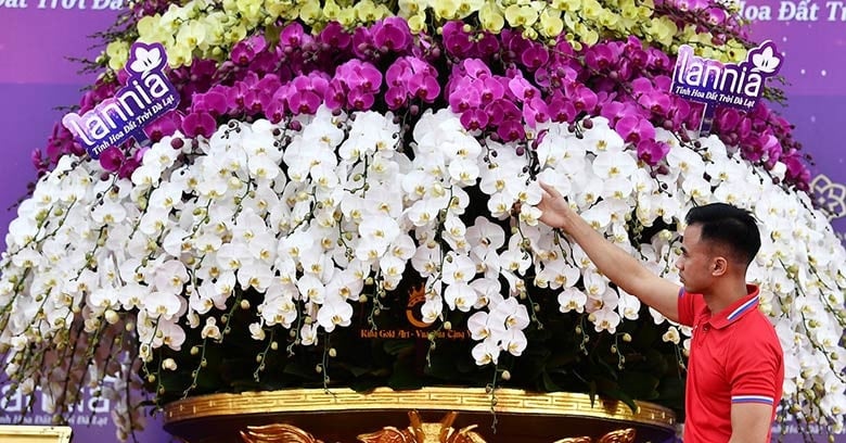 Macetas para orquídeas bañadas en oro y valoradas en mil millones de dólares causan revuelo