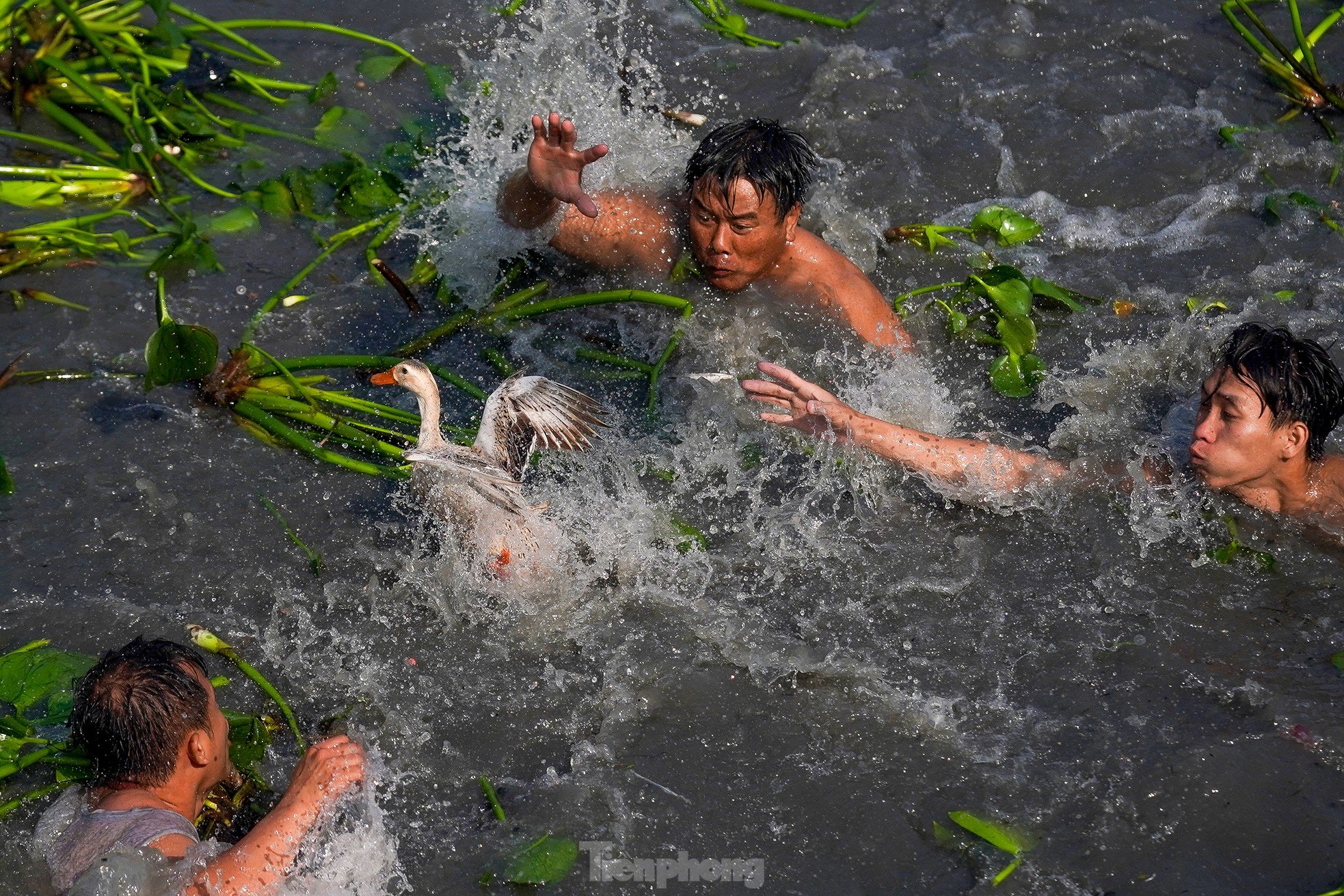 Cientos de personas compiten en 'vadear el río para atrapar patos' foto 8