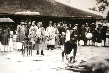 Nguyen Dynasty Royal Palace through never-before-seen photos