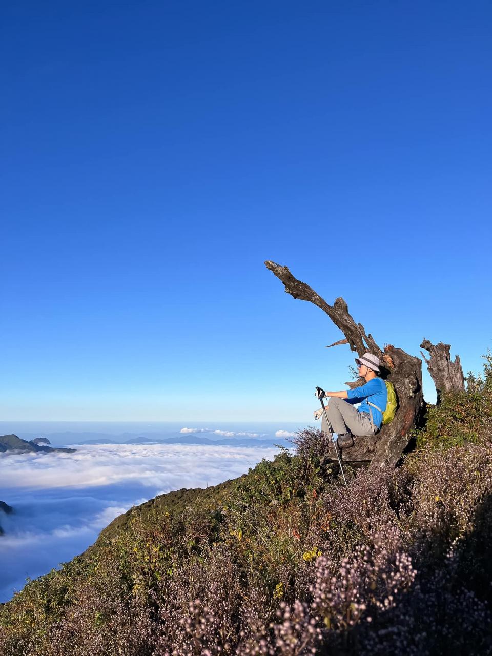 Hermoso paisaje en la cima de la montaña Ta Chi Nhu. Foto: NVCC.