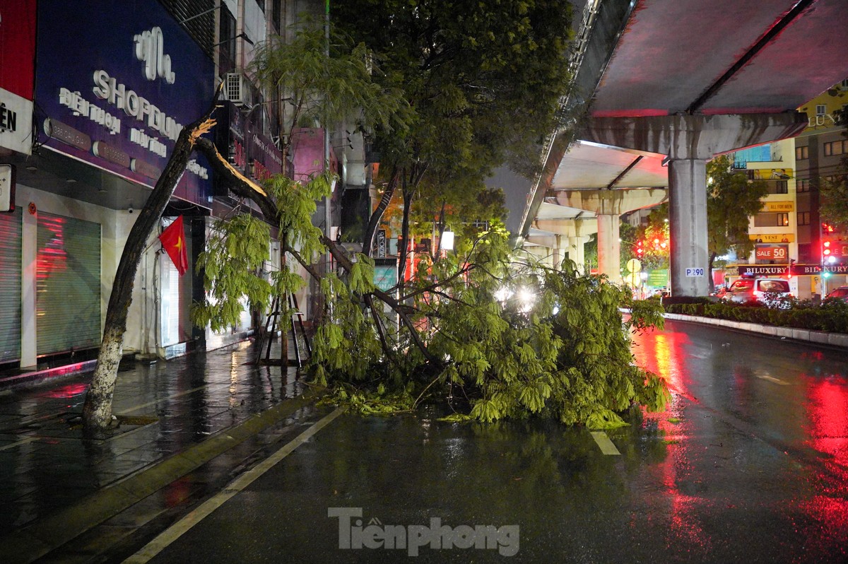 ハノイで大雨​​が降り、一連の木が倒れたり根こそぎにされたりした（写真1）