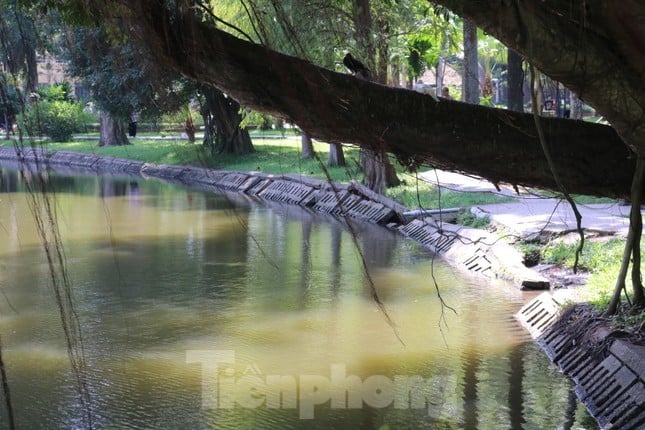 Estado actual de los parques de lento progreso en Hanoi foto 9