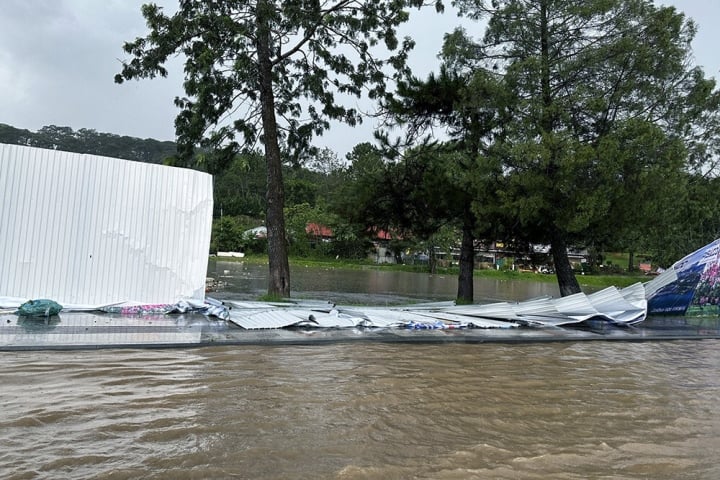 ダラットが大洪水、大雨で木々が倒れる - 2