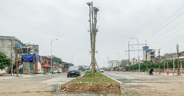 Primer plano de la carretera de 250 mil millones de VND que conecta dos distritos y que aún no está terminada después de muchos años de construcción