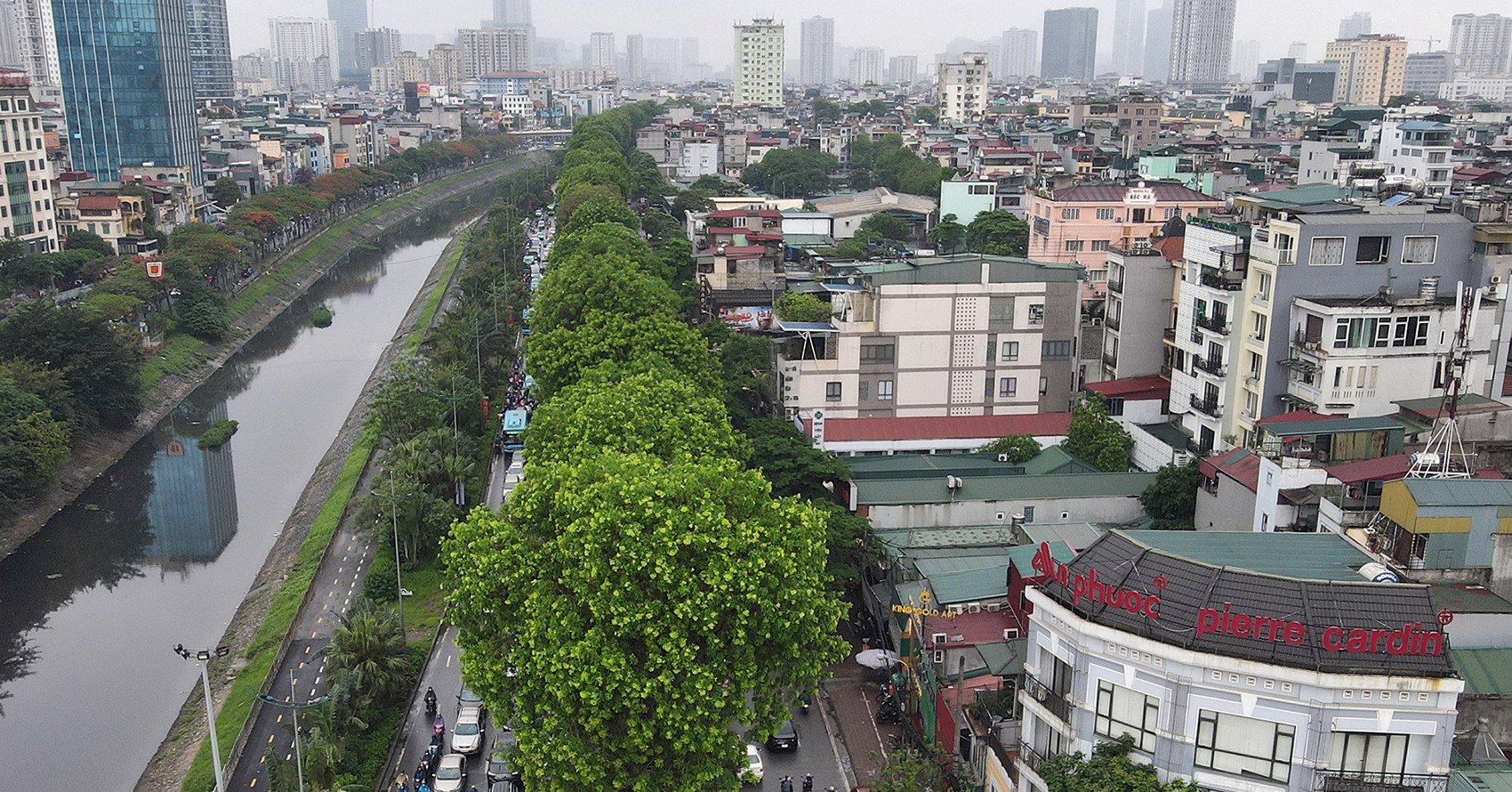 3 options for Lang road project to reduce land clearance and preserve trees