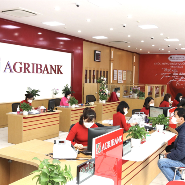 Một công ty có vốn điều lệ 12 tỷ đồng nợ Agribank gần 200 tỷ đồng