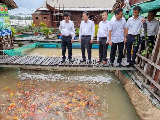 Secretario del Comité del Partido de la ciudad de Can Tho: Las cooperativas deben prestar atención a la calidad del producto asociada con la construcción de la marca. Foto 2