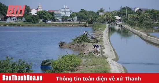 Quang Xuong អនុវត្តដំណោះស្រាយជាច្រើនដើម្បីប្រមូលផ្តុំ និងប្រមូលផ្តុំដី។