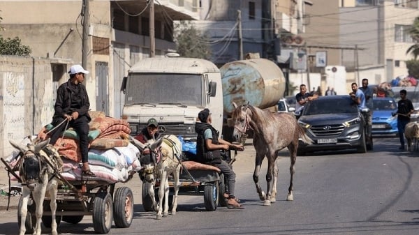 Israel kills senior Hamas military commander, Russia speaks out on hostage issue