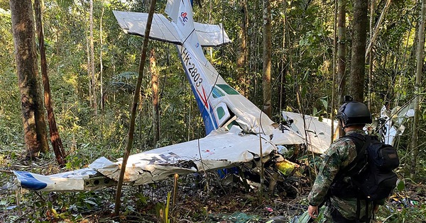 コロンビア、飛行機墜落事故の赤ちゃん4人は生存、アマゾンのジャングルで捜索継続