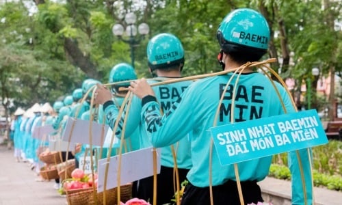 Baemin stops operations in Vietnam