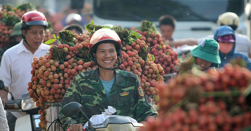 Chất vấn 2 Bộ trưởng, đại biểu hy vọng vải thiều Bắc Giang sẽ tốt lên