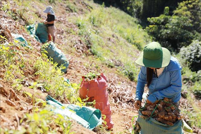 ចំណងជើងរូបថត