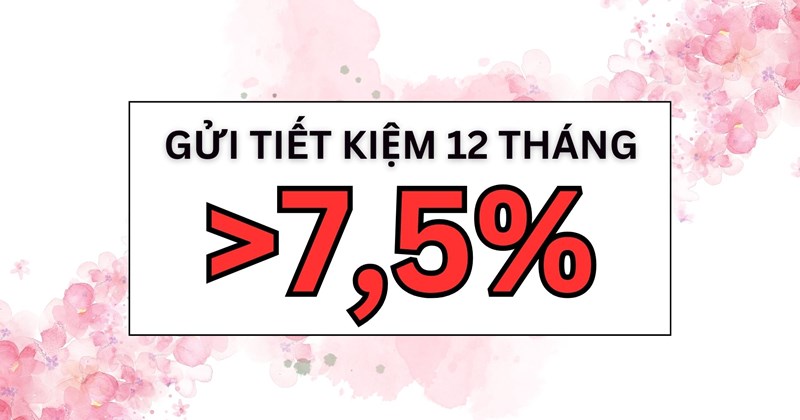 2 ngân hàng có lãi suất cao hơn 7,5% khi gửi tiết kiệm 12 tháng