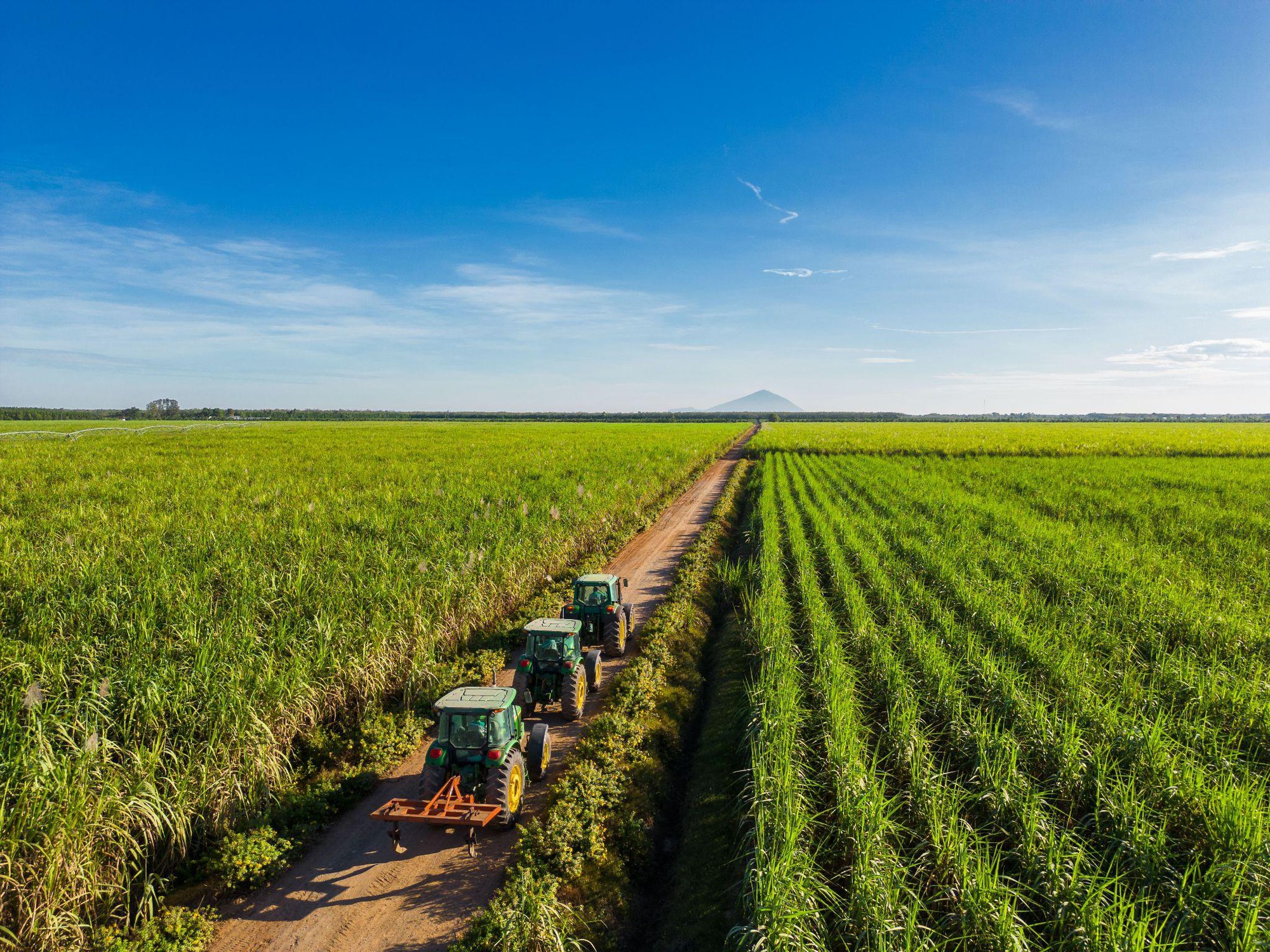 Chủ tịch TTC AgriS: Tây Ninh sẽ trở thành trụ sở của trung tâm nông nghiệp quốc tế- Ảnh 2.