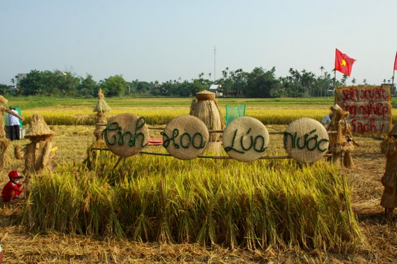 Lễ hội Ngày mùa trên quê hương cố Thủ tướng Phạm Văn Đồng ảnh 6