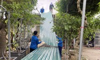 Thai Binh Youth Union reached the finish line early to clear the corridor to support the construction of 500kV line 3