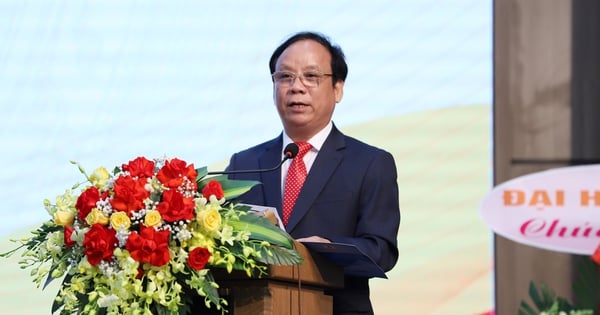 El profesor asociado, Dr. Nguyen Ngoc Vu, continúa ocupando el cargo de director de la Universidad de Danang