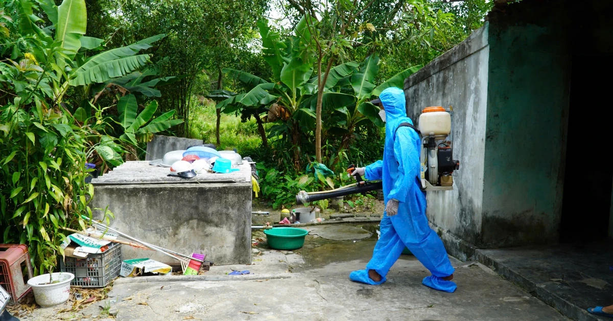 Quang Binh: 1 Person starb an Denguefieber