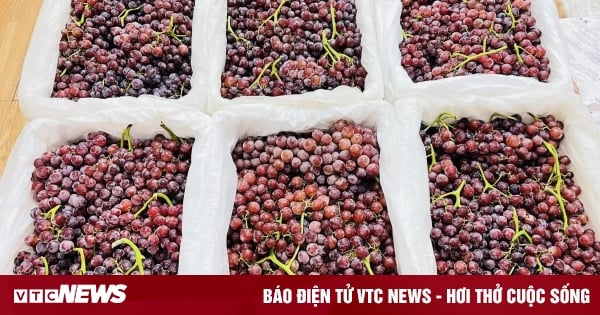 Chinese seedless grapes flood Vietnamese market, super cheap price 25,000 VND/kg